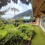 Jungle * マシコ