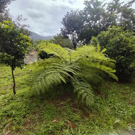 Casa Da Madeira