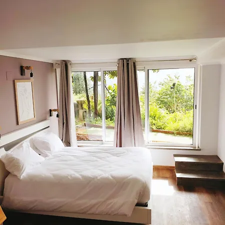 Appartement Jungle *