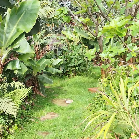 Appartement Jungle Machico (Madeira)