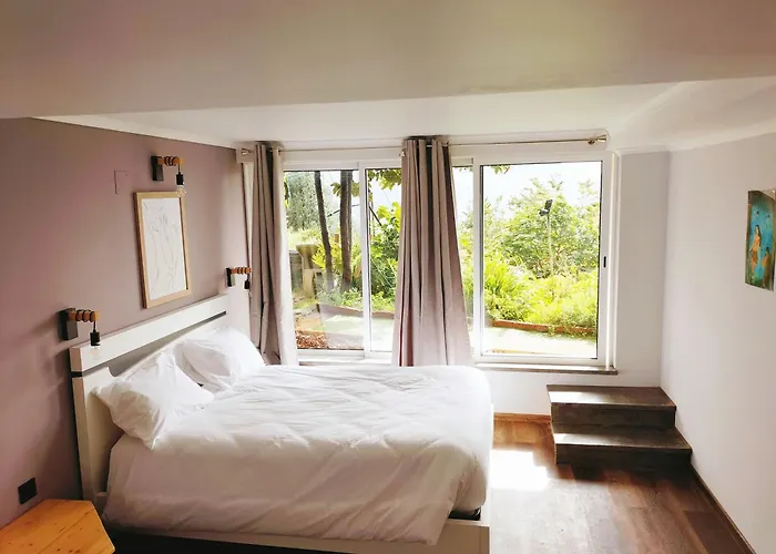 Апартаменты Jungle *