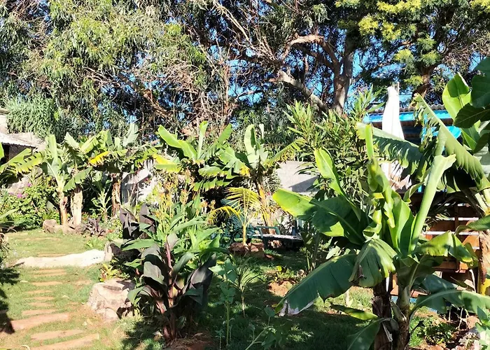 Jungle Апартаменты